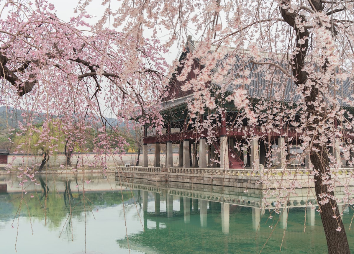 South Korea Explorer